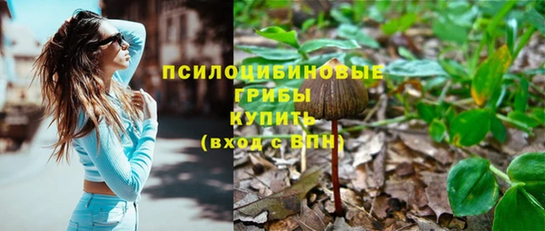 скорость mdpv Каменка