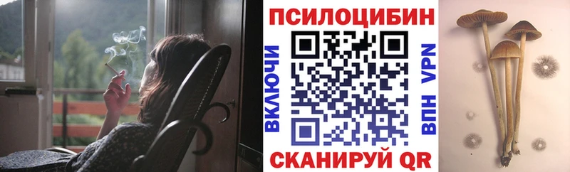 Галлюциногенные грибы мицелий  Купить  Черкесск 